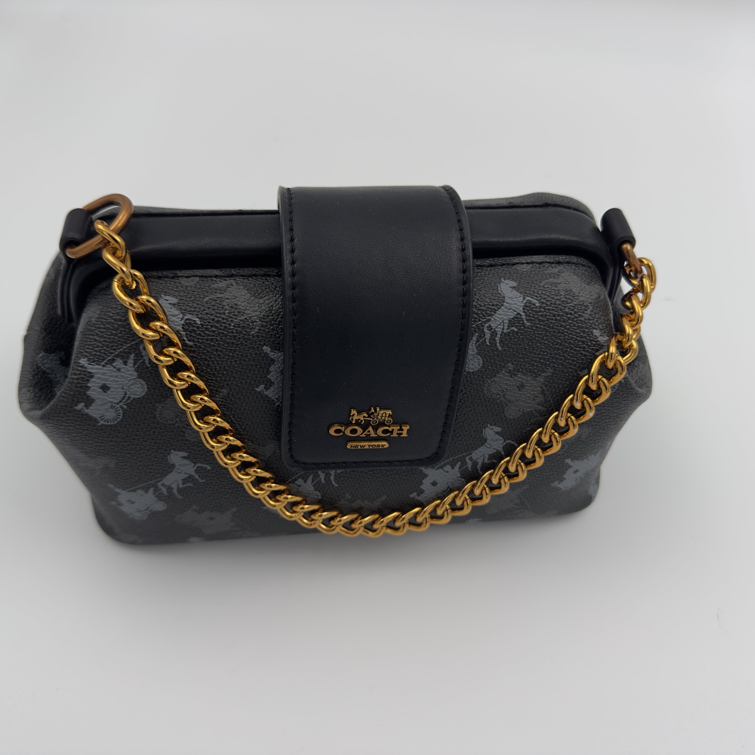 Coach Double Frame Bag 19 in Signature Canvas with Horse and Carriage Print.