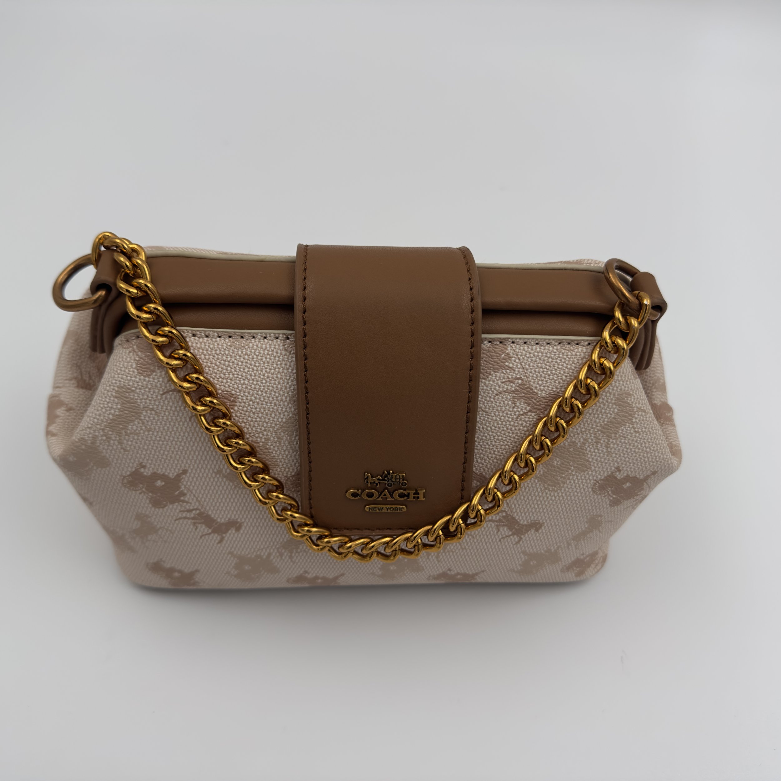 Coach Double Frame Bag 19 in Signature Canvas with Horse and Carriage Print.
